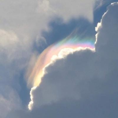 Toni Suherman avatar